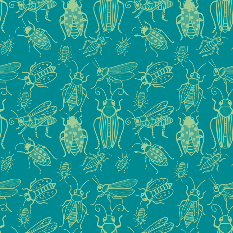 Teal bugs